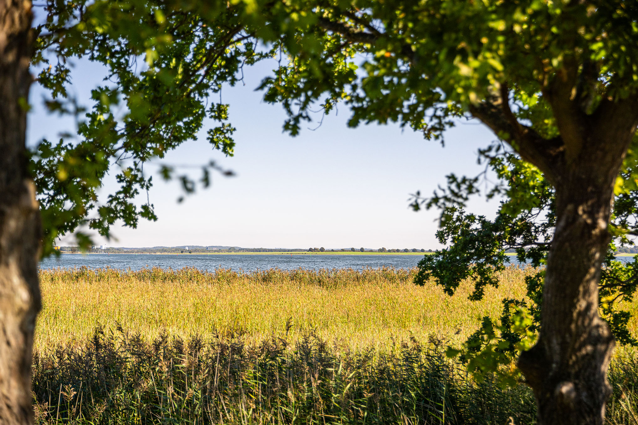 Udsigt Over Karrebæk Fjord Ved Saltø Enghuse