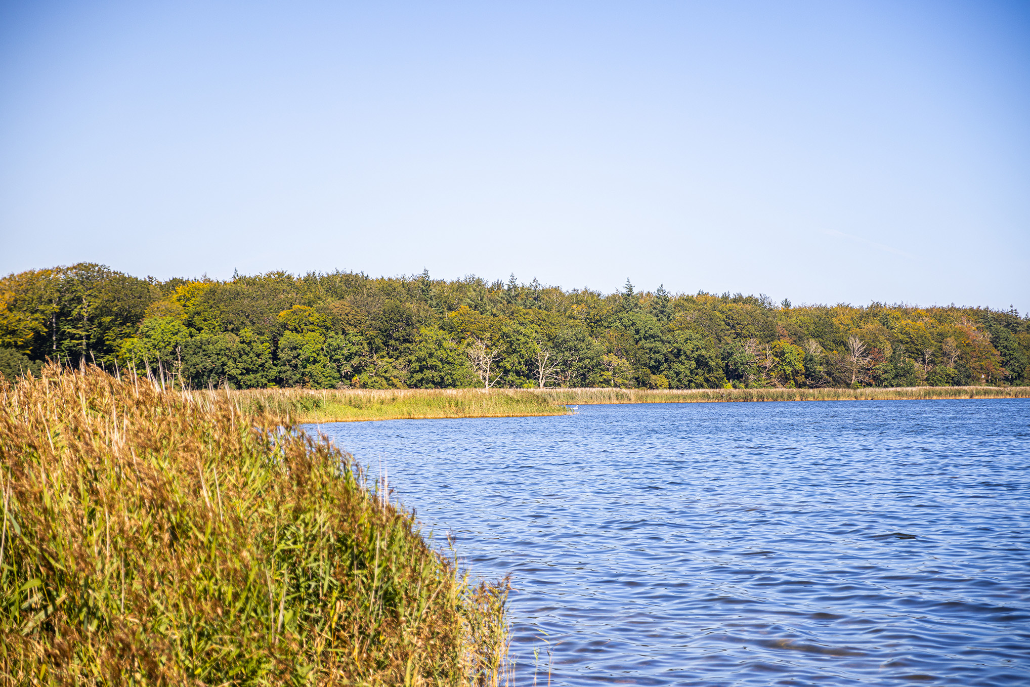 Naturområde Omkring Sommerhusområdet Saltø Enghuse