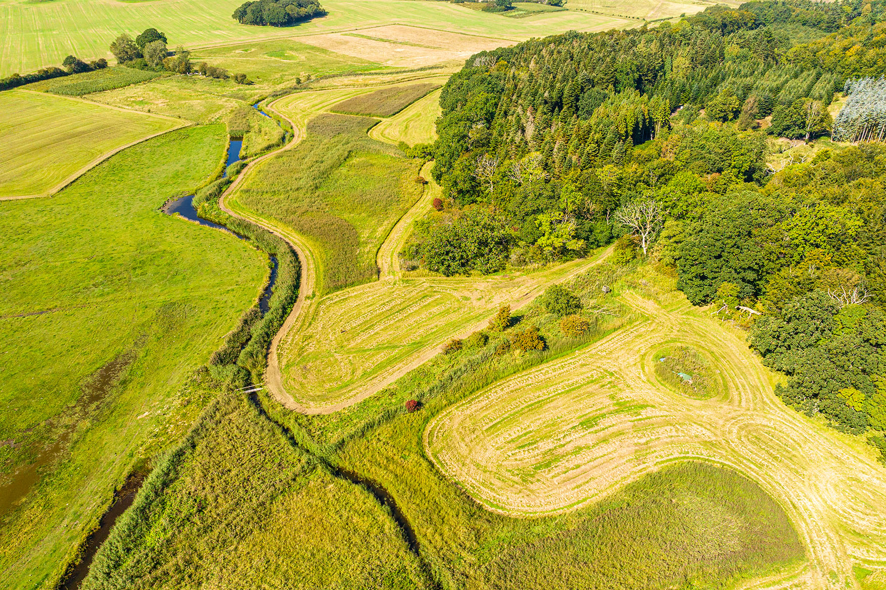 Naturområde Nær Saltø Enghuse