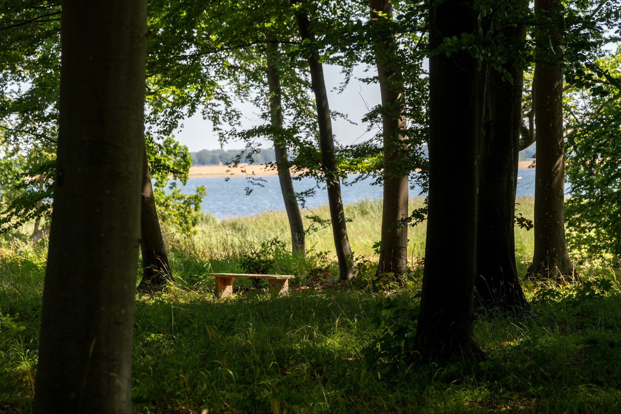 Bænk Ved Skovgravpladsen I Saltø Skovbegravelsesplads I Borgnakke Skov Ved Næstved Og Karrebæk