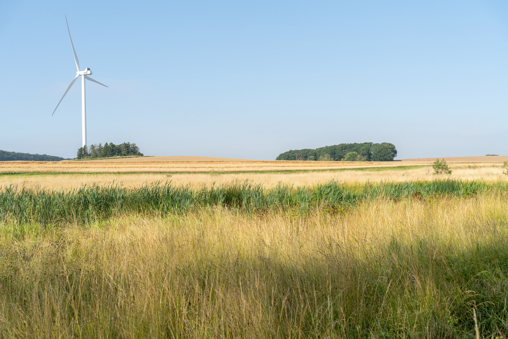 Eng Og Marker Foran Saltø Gods Med Vestas Vindmølle