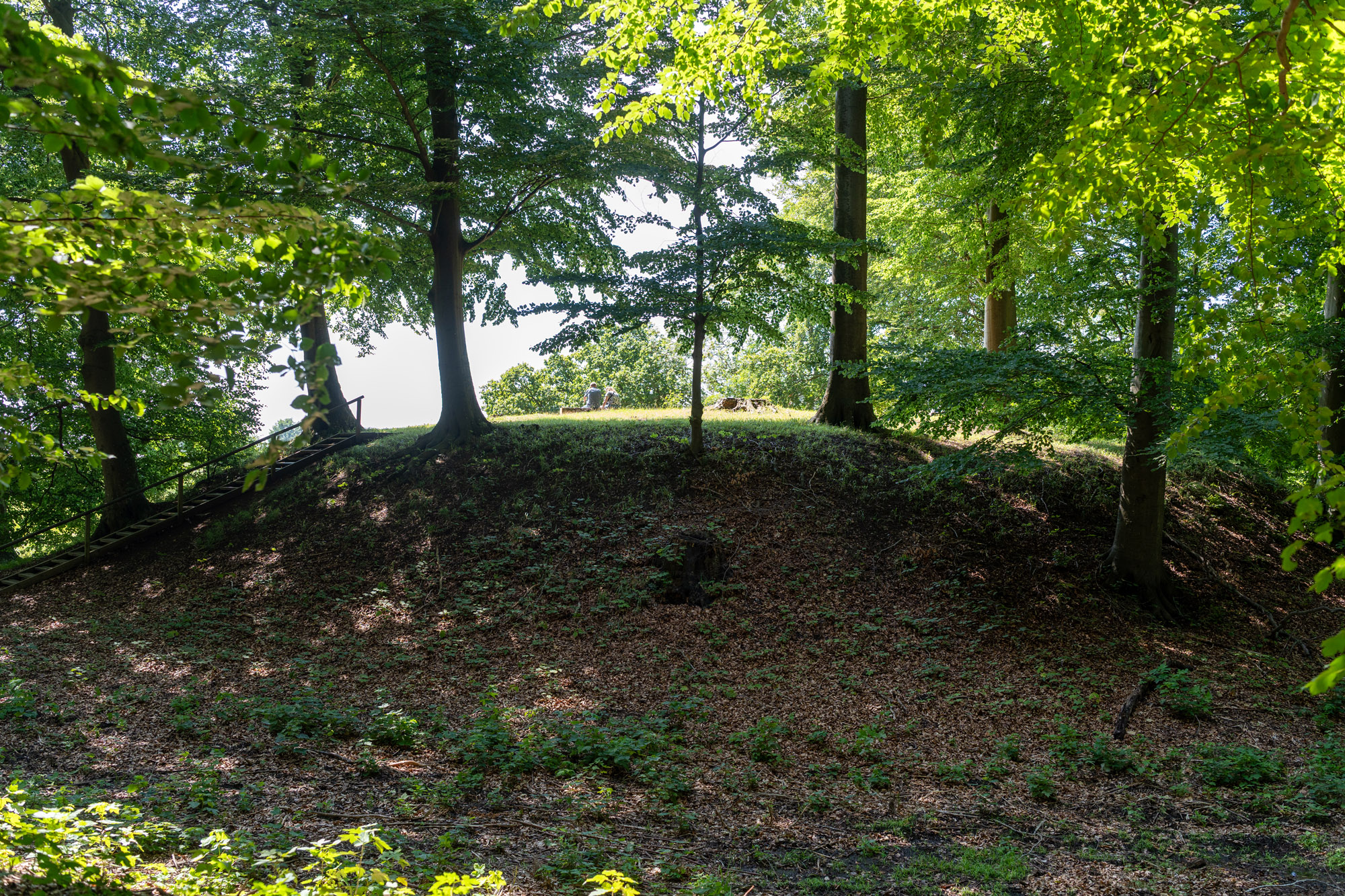 Margretehøj I Borgnakke Skov