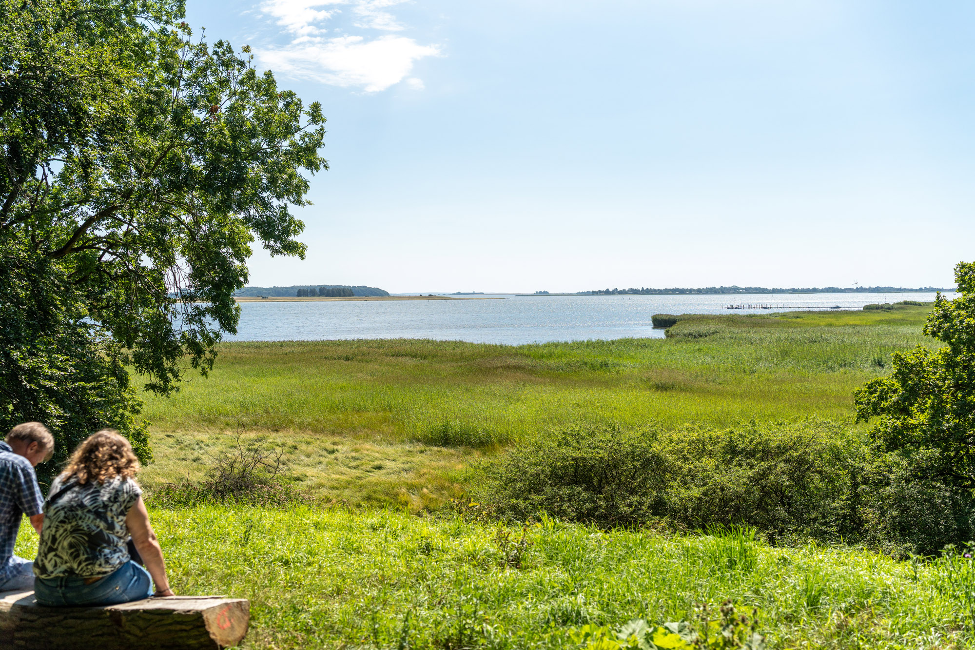 Par Sidder På Bænk I Saltø Gods Skov, Borgnakke Skov