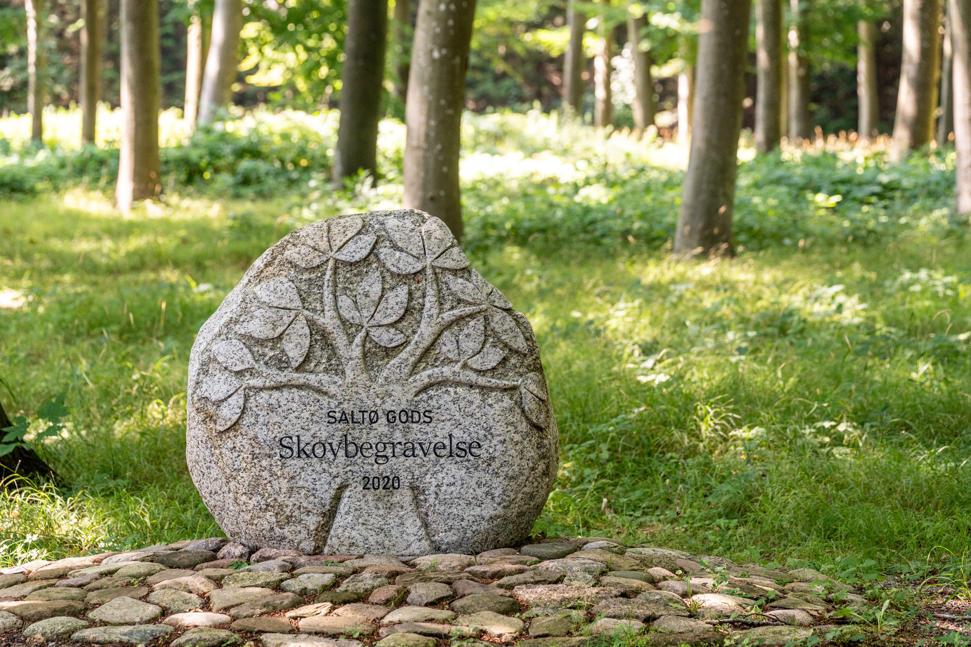 Saltø Gods Anlagde Saltø Skovbegravelsesplads I Borgnakke Skov I 2020. Flere Skovbegravelser Er Allerede Foretaget I Skoven.