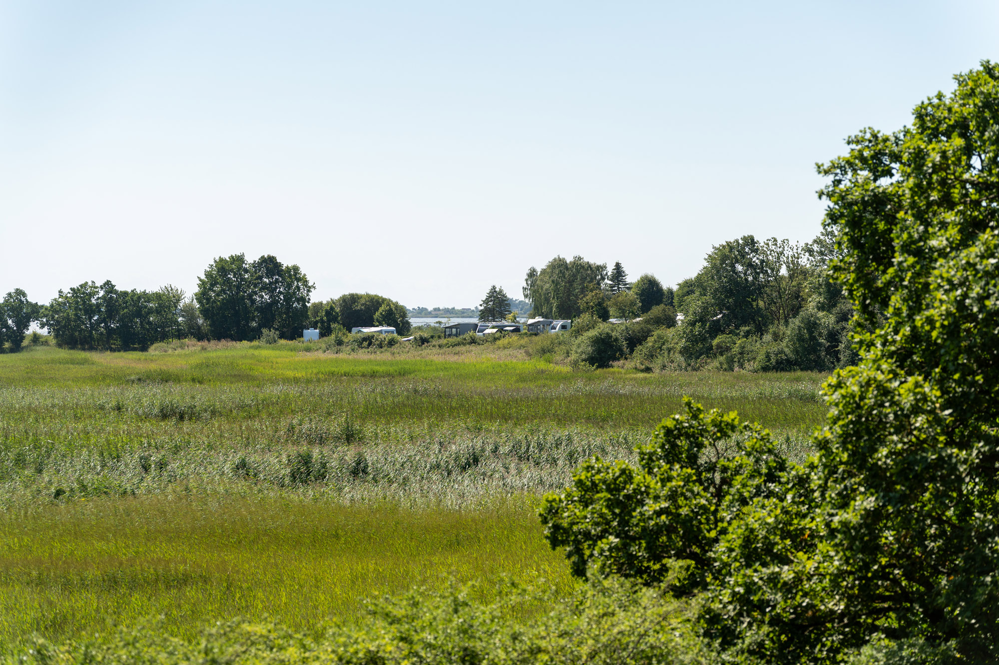 Udsigt Fra Margretehøj I Borgnakke Skov Til De Hvide Svaner Camping