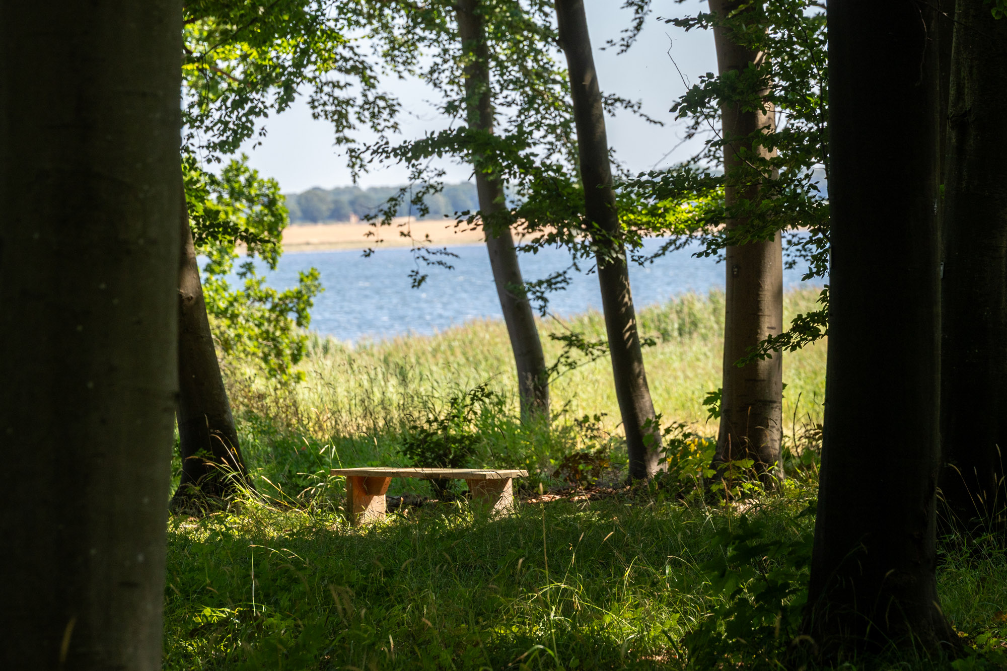 Udsigt Over Vandet Fra Skovgravpladsen Hvor Der Foretages Urnenedsættelser Nær Næstved