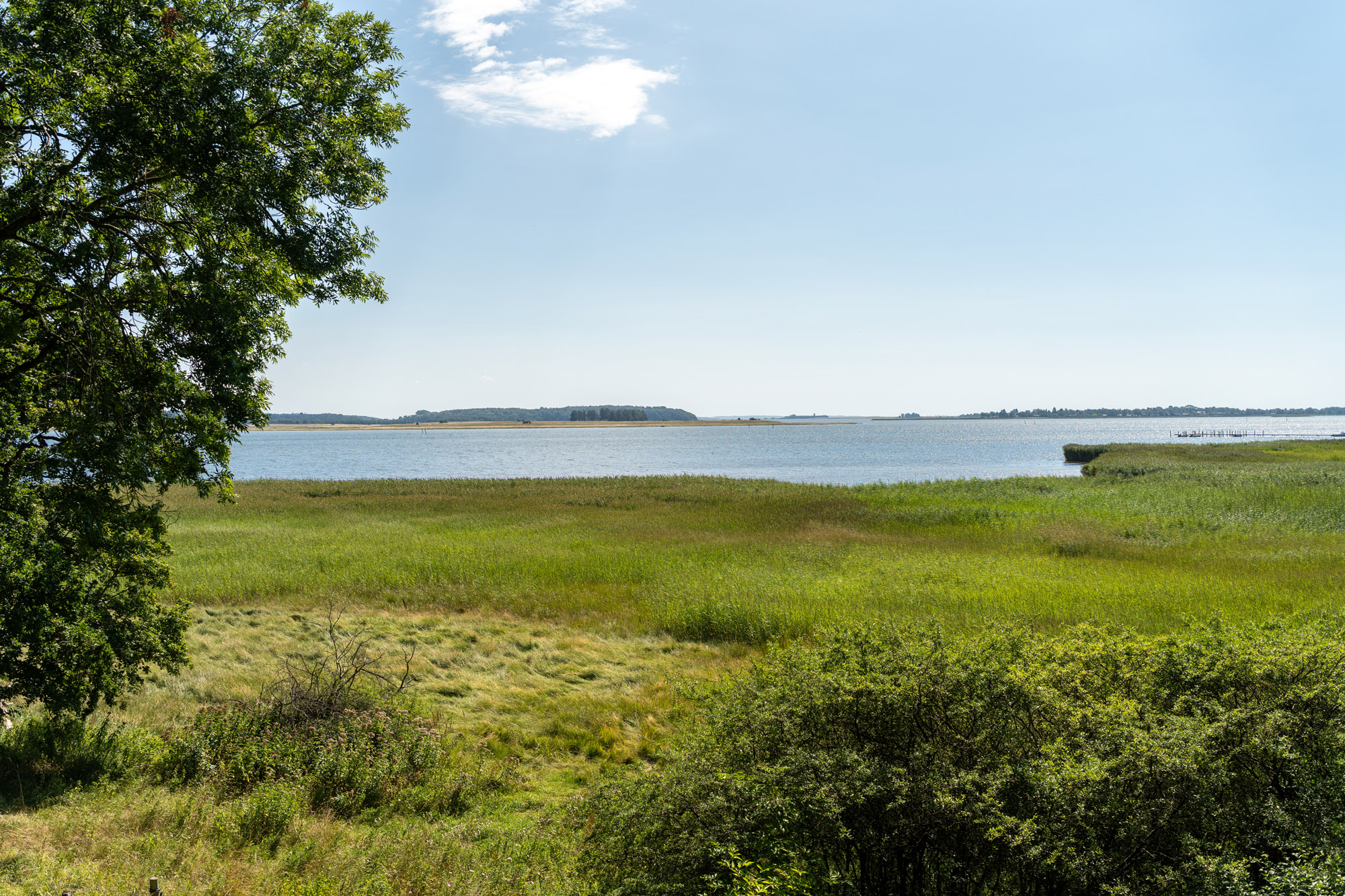 Udsigt Over Vandet På Karrebæk Fjord Fra Margretehøj I Borgnakke Skov