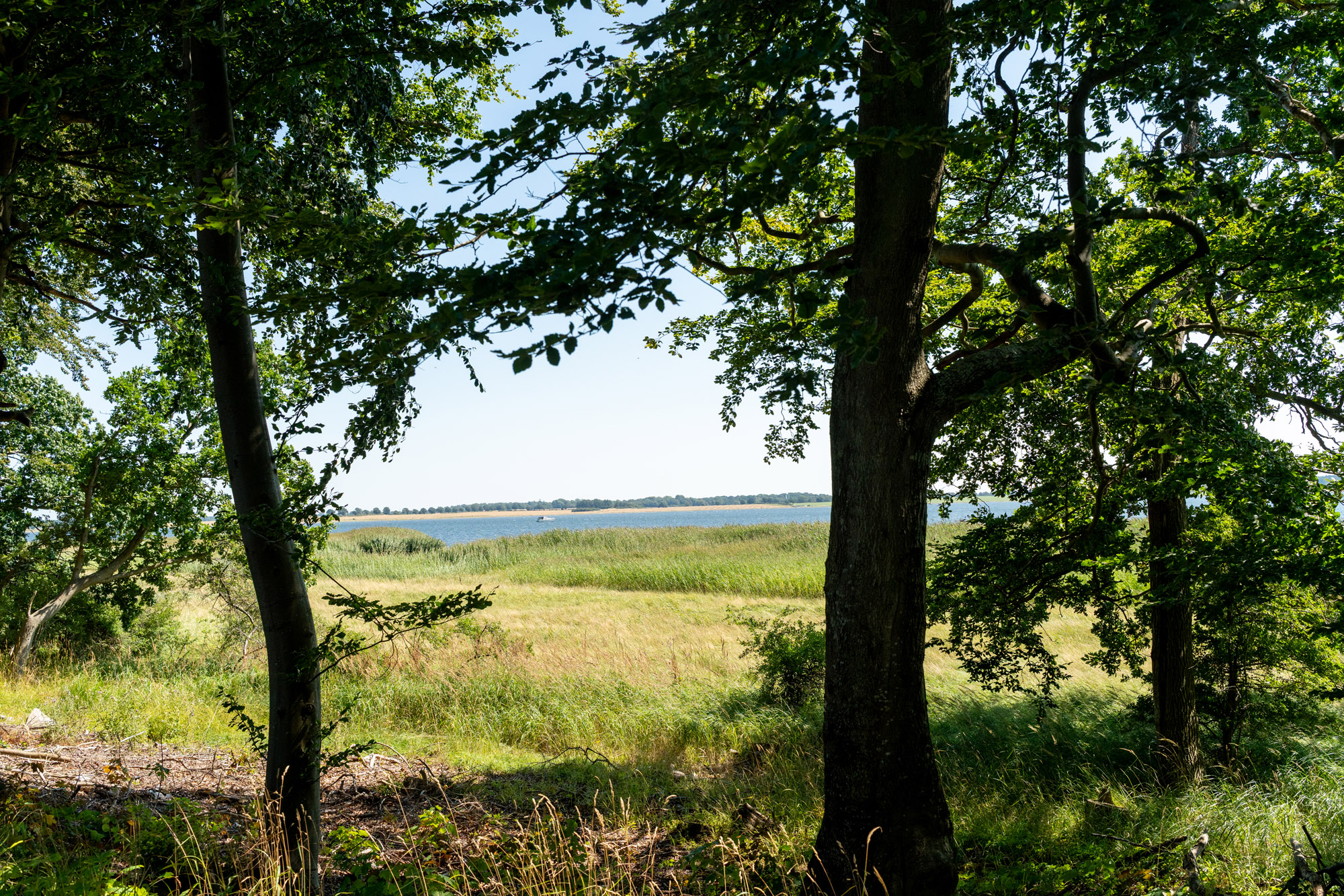 Vandudsigt Fra Skovbegravelsesplads I Saltø Gods Skovbegravelsesområde Ved Næstved Og Karrebæk